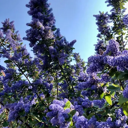 La Cotentine (adults Only) Bed and breakfast