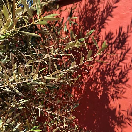 Bed and breakfast La Cotentine (adults Only)