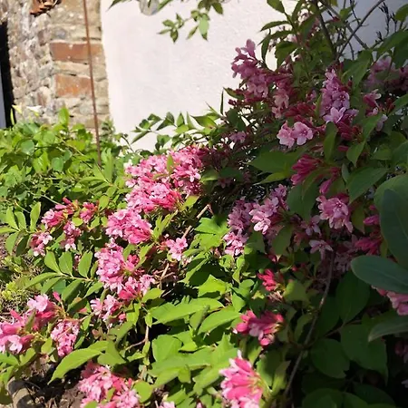 Bed and breakfast La Cotentine (adults Only) 4*