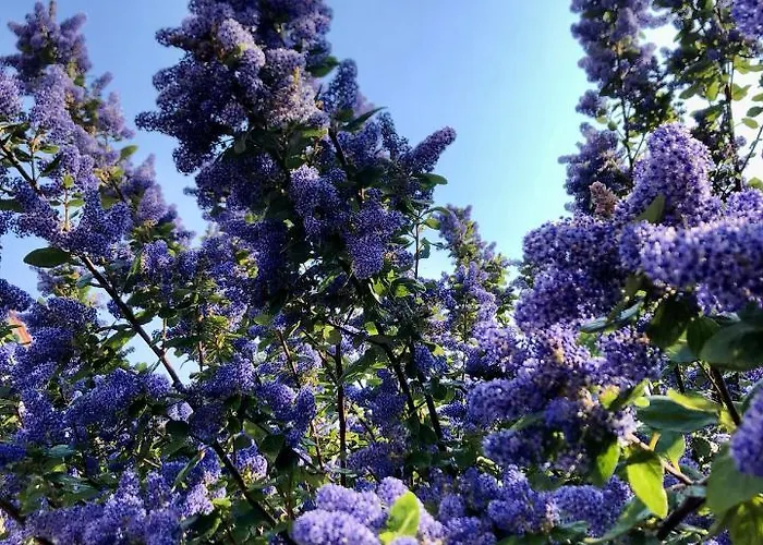 La Cotentine (adults Only) Oda ve Kahvaltı