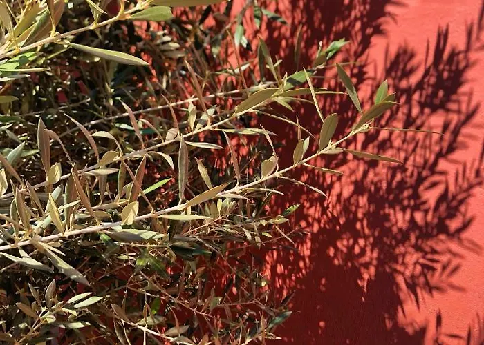 Oda ve Kahvaltı La Cotentine (adults Only)