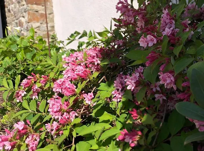 Oda ve Kahvaltı La Cotentine (adults Only) 4*