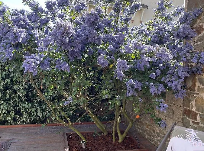 La Cotentine (adults Only) Bed and breakfast 4*